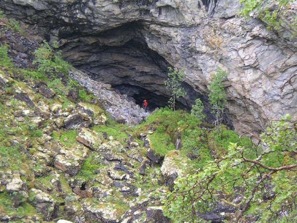 Steinuglefloget